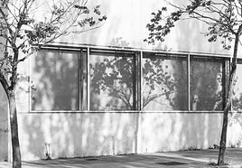 'Arbonización' de Ana Sampedro está expuesta en las cristaleras del Archivo Municipal de Vitoria