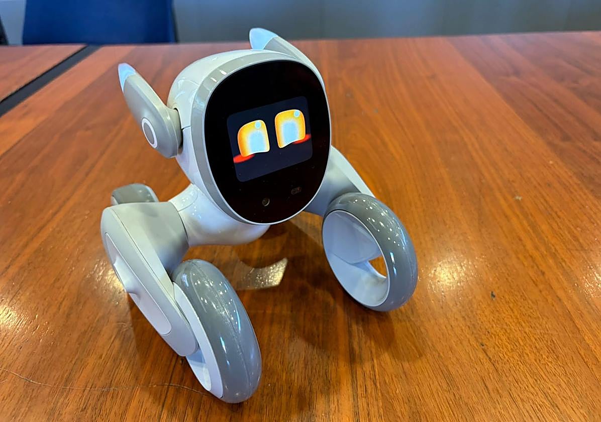 Imagen de Loona, el robot que interactúa con los usuarios.