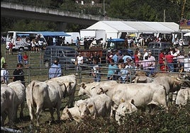 Imagen de archivo de una feria ganadera en Molledo.