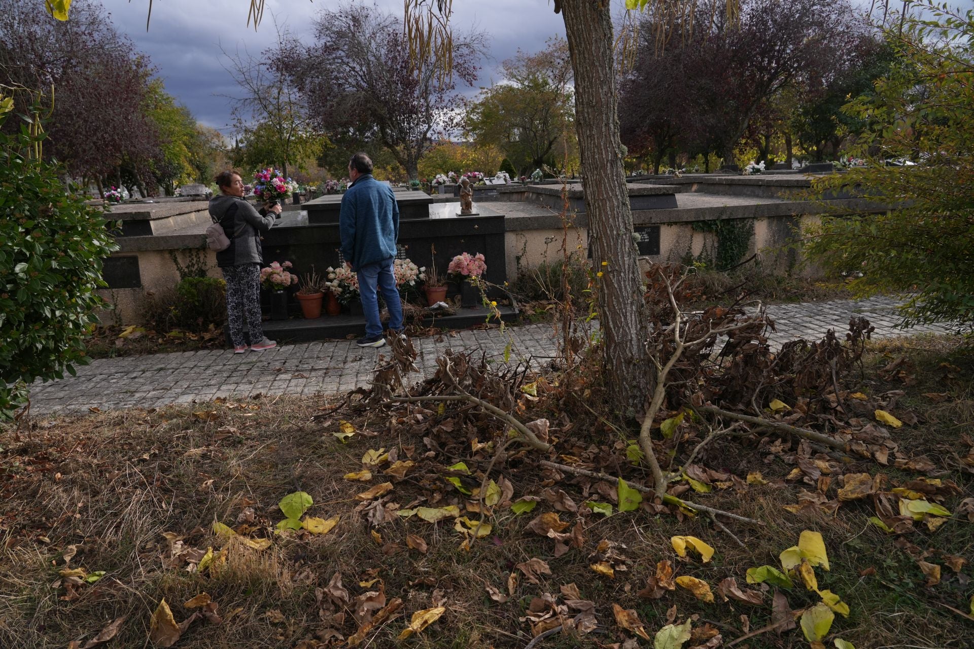 Aspecto de los jardines del cementerio.