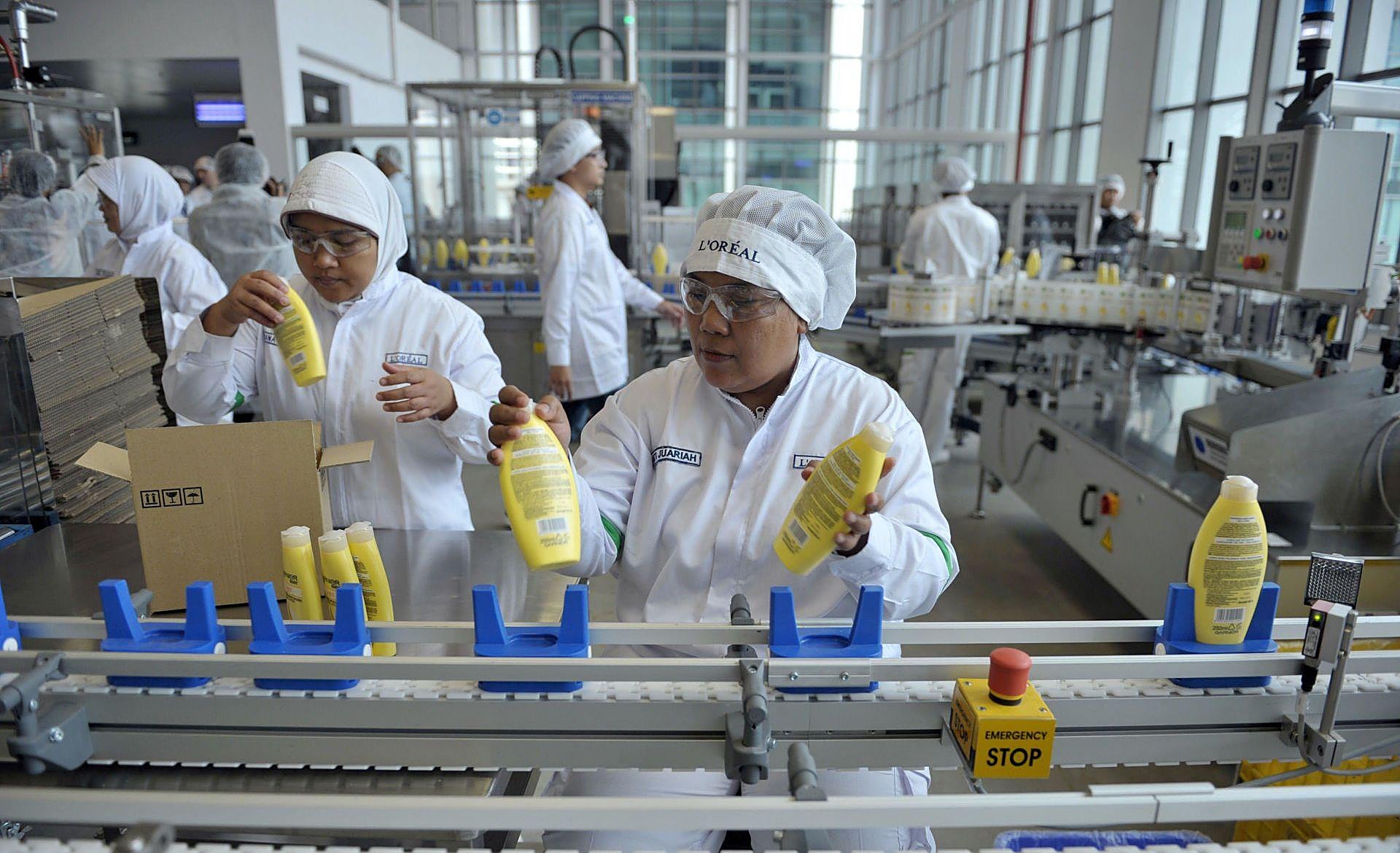 Scroll Story imagen 2