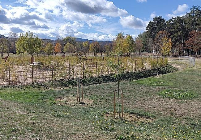 Otra imagen del estado actual del emplazamiento.