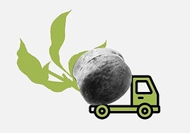 ¡Viva Calanda, viva la libertad!