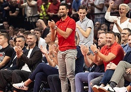 Novak Djokovic se desata en la grada durante el partido del Baskonia en Belgrado