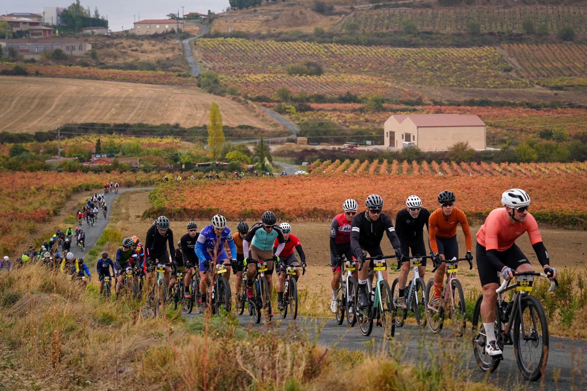 Las mejores imágenes de la Orbea Gravel