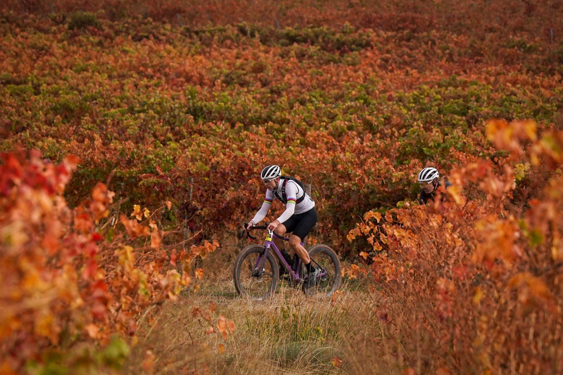 Las mejores imágenes de la Orbea Gravel