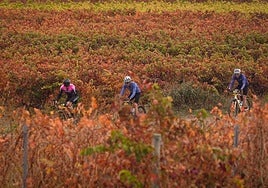 Un grupo de participantes deja atrás Laguardia antes de entrometerse entre caminos.