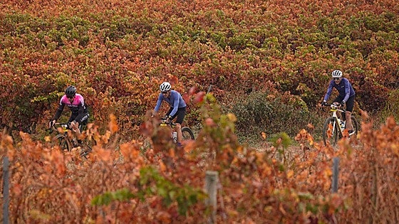 A golpe de pedal en la tierra del vino