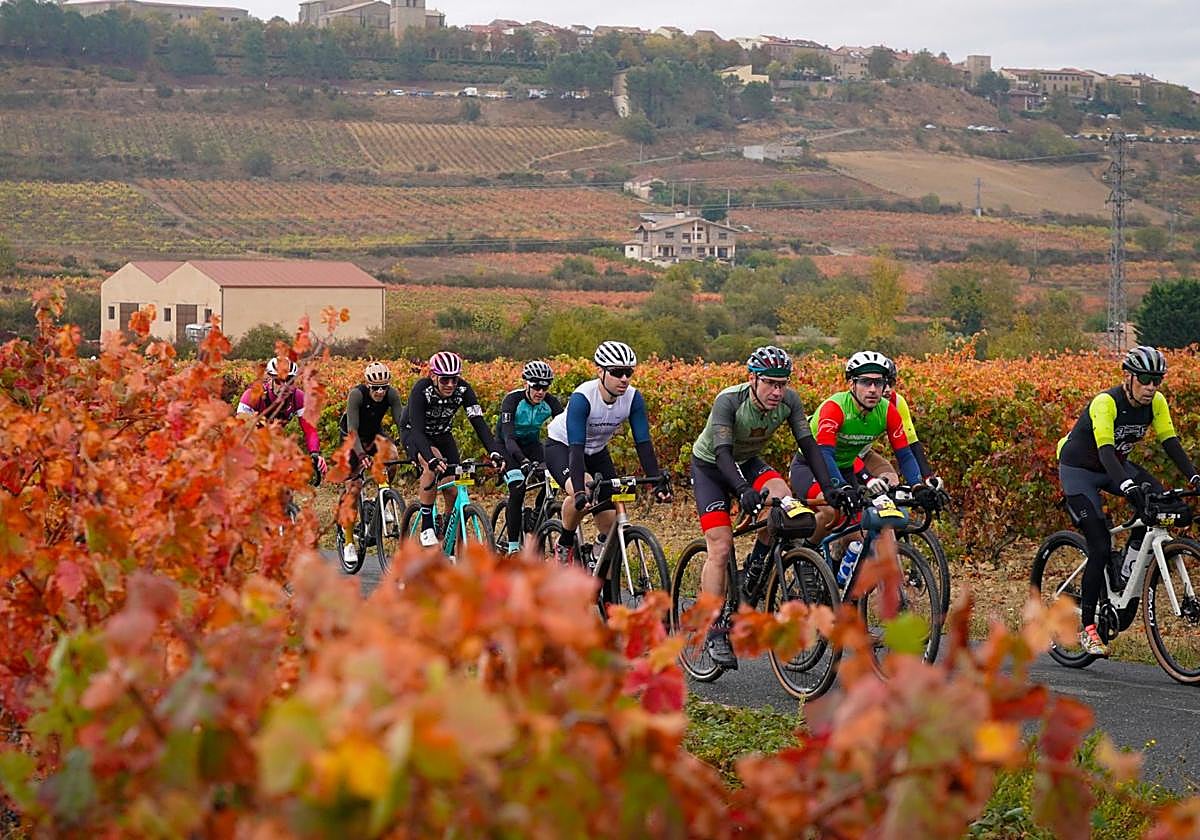 Las mejores imágenes de la Orbea Gravel