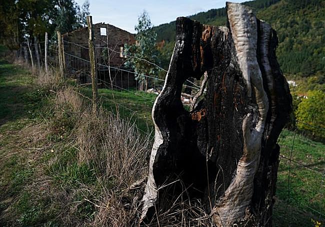 Rastros del incendio y, al fondo, uno de los caseríos deshabitados que ardieron.