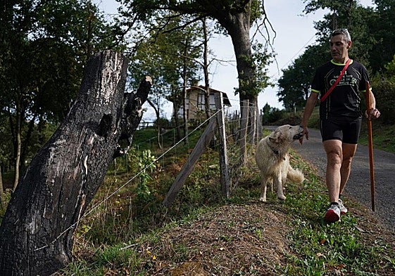 Julio César Alonso y el perro Chester pasan junto a los restos de un árbol quemado en Balmaseda.