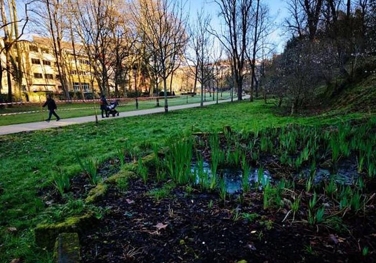 Un hombre viola a un joven en un parque de San Sebastián tras agredirle con la técnica del mataleón