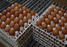 Los huevos se han encarecido más que cualquier otro alimento en Euskadi en los últimos doce meses.