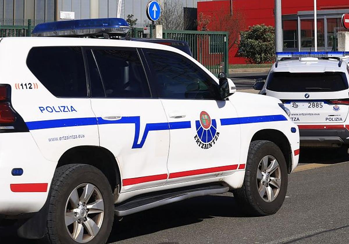 Dos detenidos en Vitoria por hurto y estafa