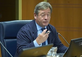 El PP pide la dimisión de Zupiria como consejero de Seguridad porque «no se entera de nada»