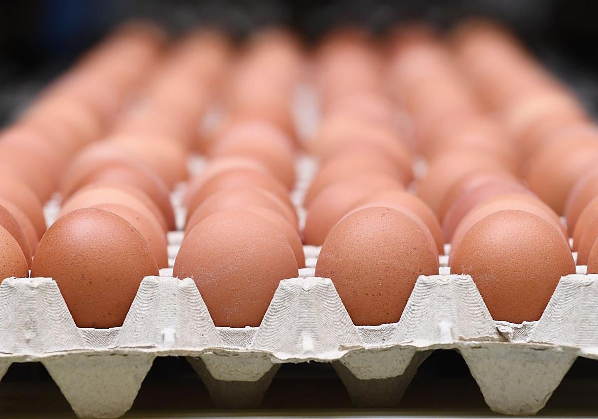 Por qué queremos consumir tantos huevos y proteína: ¿es una moda o es necesaria tanta cantidad?