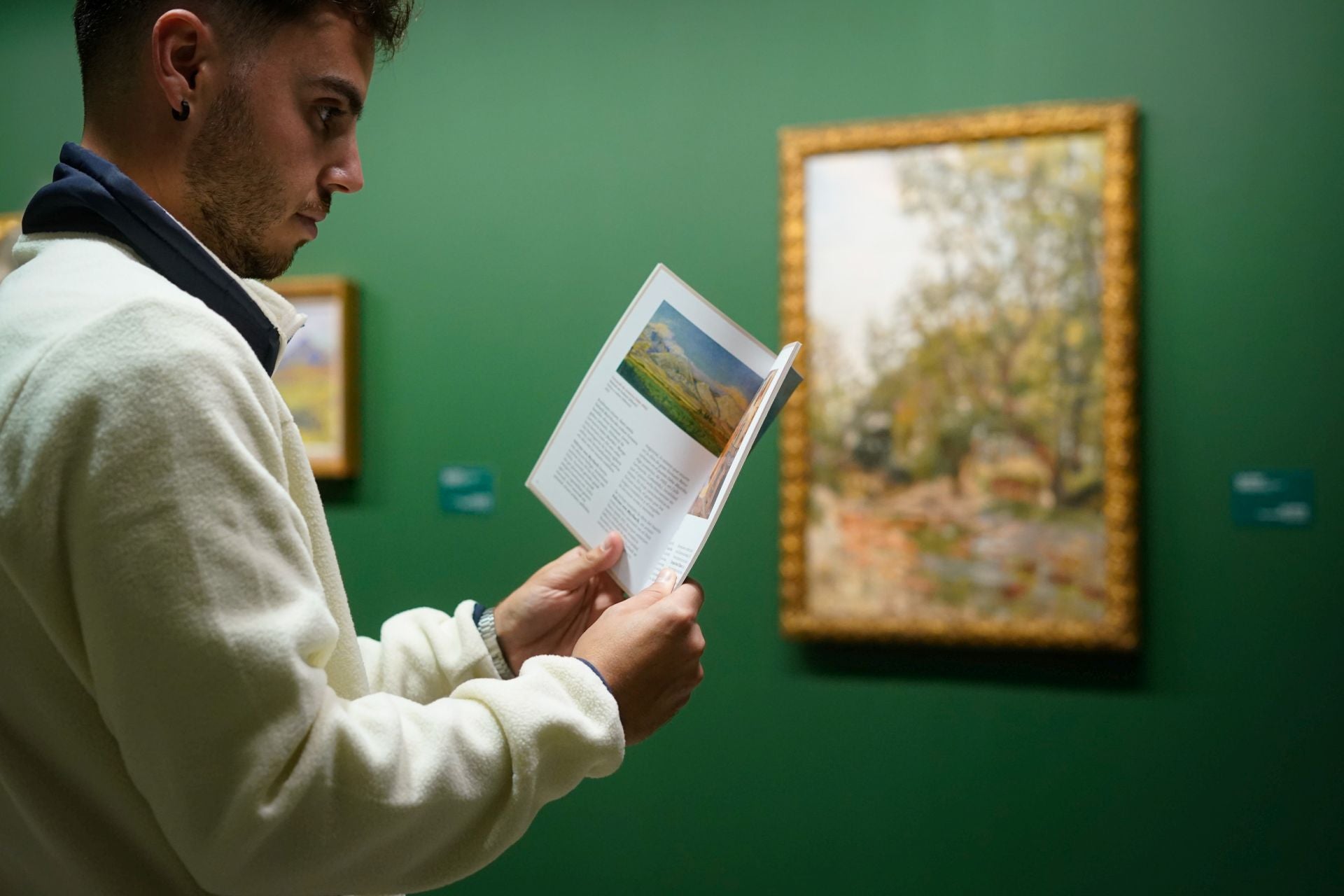 Las imágenes del Bellas Artes de Álava