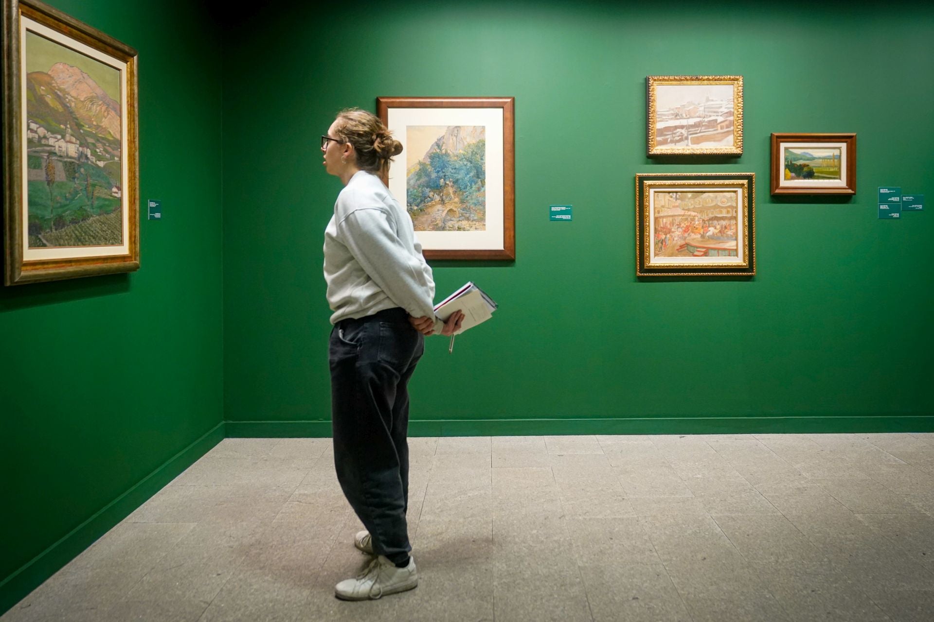 Las imágenes del Bellas Artes de Álava