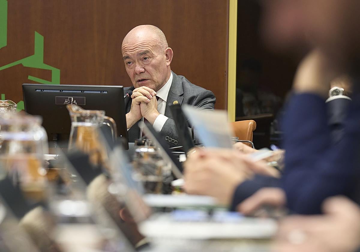 El consejero Juan Ignacio Pérez, en el Parlamento vasco.