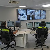 La Policía Local de Vitoria accederá al registro estatal de delicuentes multirreincidentes