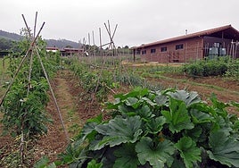 Su uso es gratuito, pero los solicitantes tendrán que abonar una fianza de 100 euros.