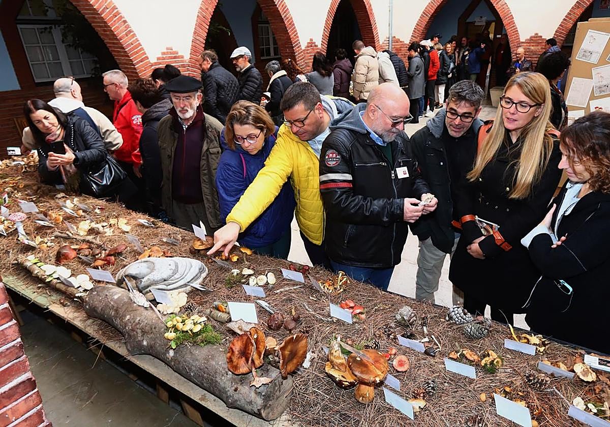 la afluencia de público fue una constante durante toda la mañana.