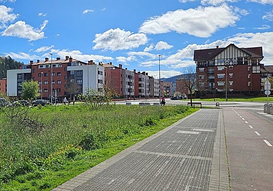 El acceso a un hogar asequible es la principal preocupación de los vecinos.