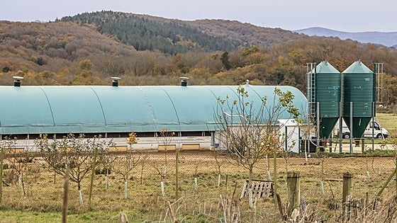 Álava estudia fórmulas para evitar el confinamiento de sus 415.000 aves de corral