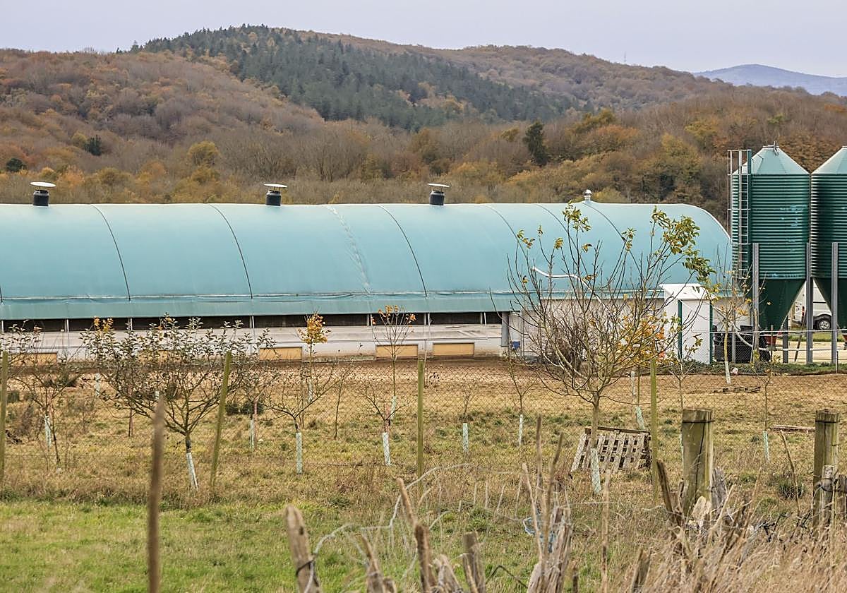Así lucía este jueves el exterior de una de las granjas que hay en territorio alavés.
