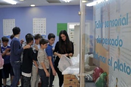 Los escolares tomarán parte en distintas actividades vinculadas con el pescado.