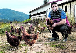 El avicultor de Muskiz con varias gallinas de su explotación, Bildotxi.