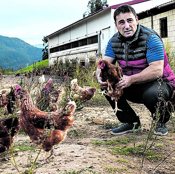 El avicultor de Muskiz con varias gallinas de su explotación, Bildotxi.