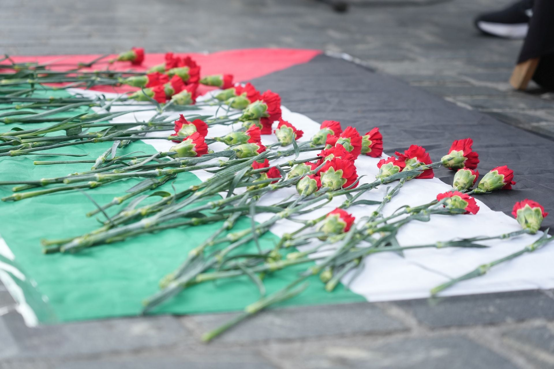 Las mejores imágenes de la fiesta por Palestina en Bilbao previas a los incidentes