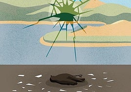 Vivimos en un tiempo cruel