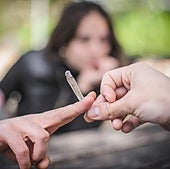 Euskadi exporta marihuana a Europa: el kilo que aquí se paga a 2.000 euros vale el triple en Reino Unido