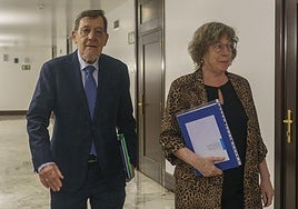 El presidente de la comisión, Juan Luis Ibarra, y la vocal Miren Ortubay han comparecido este lunes en el Parlamento vasco.