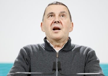 El secretario general de EH Bildu, Arnaldo Otegi, en una comparecencia.