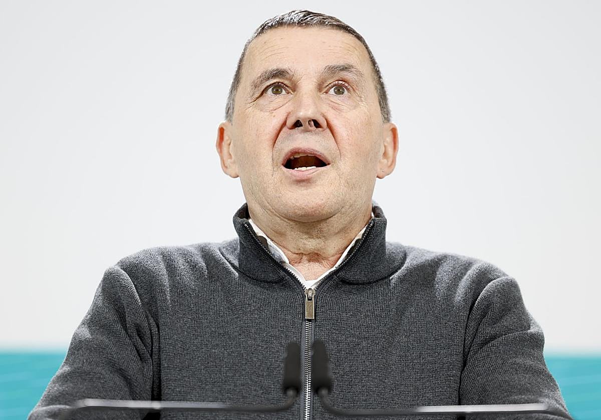 El secretario general de EH Bildu, Arnaldo Otegi, en una comparecencia.