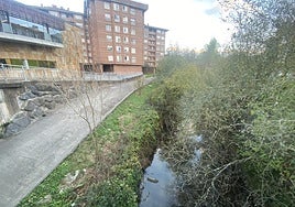 Tramo del río Sarria a su paso por Traña-Matiena, antes de confluir con el Ibaizabal.