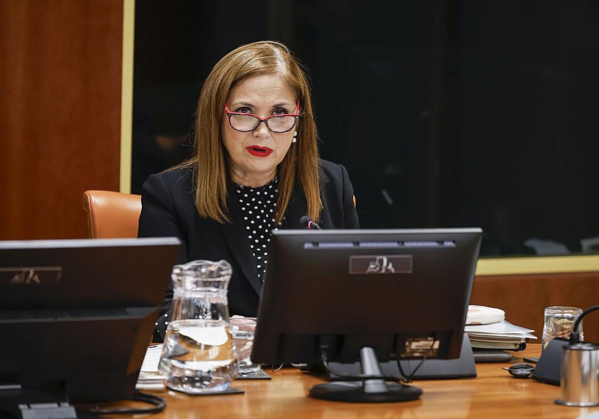 La consejera María Jesús San José, en una comparecencia.