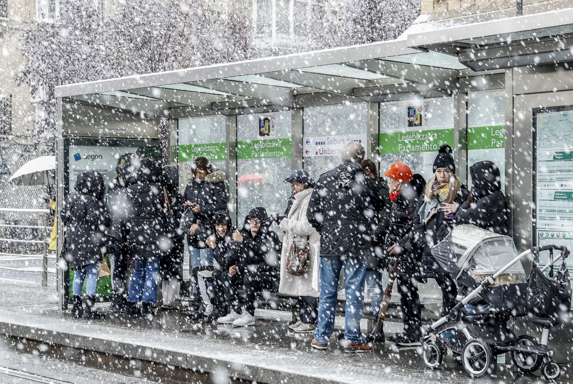 Las imágenes de un día de nieve en Álava