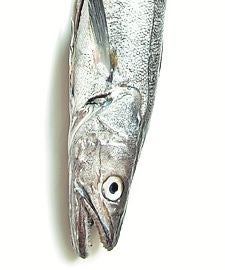 Merluza de anzuelo