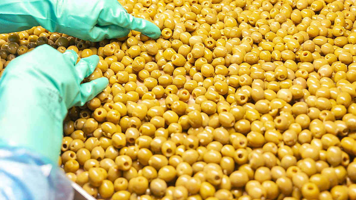 La ciudad que metió una anchoa en una aceituna