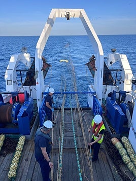 Los científicos de Azti han estudiado la población joven de anchoa en el Golfo de Bizkaia.