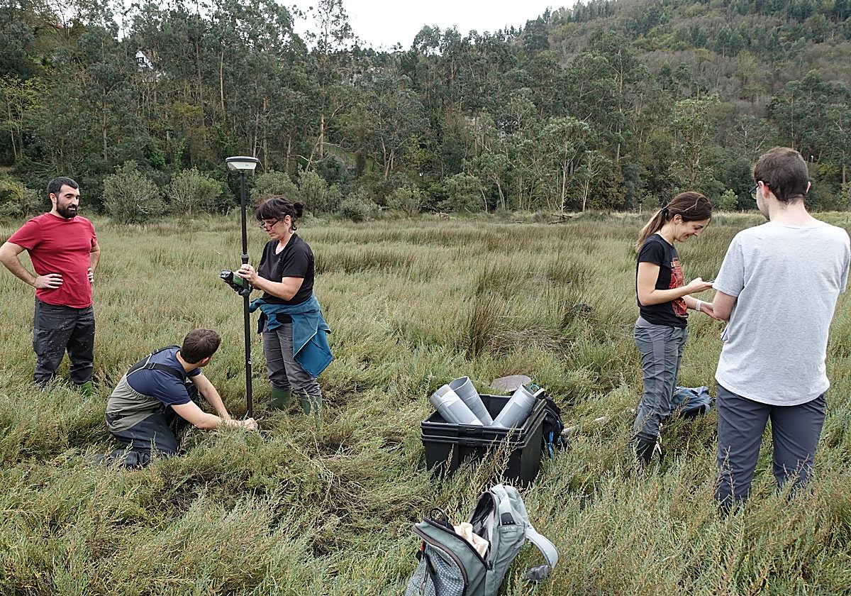 Los miembros del grupo Harea-Geología Litoral analizan cómo se han acumulado las capas de materiales orgánicos en la zona.