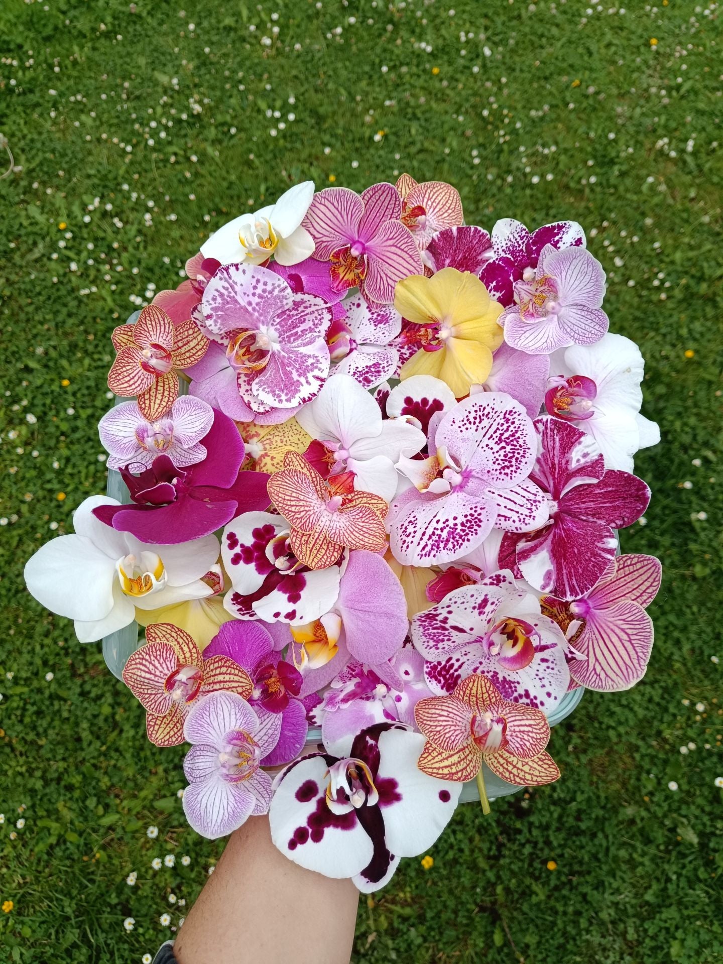 Alba dejó su trabajo fijo en la oficina para crear joyas con más de 100 orquídeas… y hasta con piparras