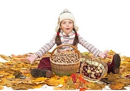 No todo es saludable en las nueces y las castañas