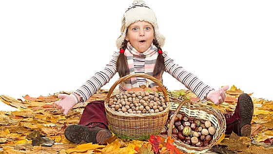 No todo es saludable en las nueces y las castañas
