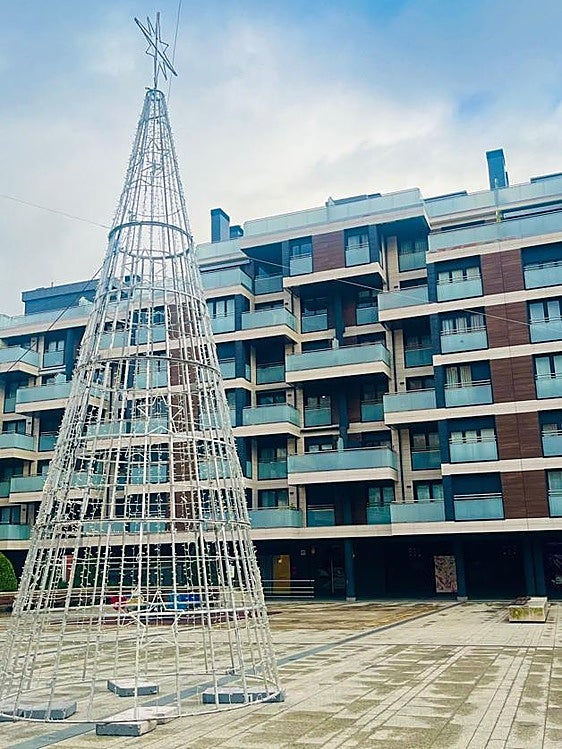Imagen del nuevo árbol instalado en la plaza Arizgoiti.