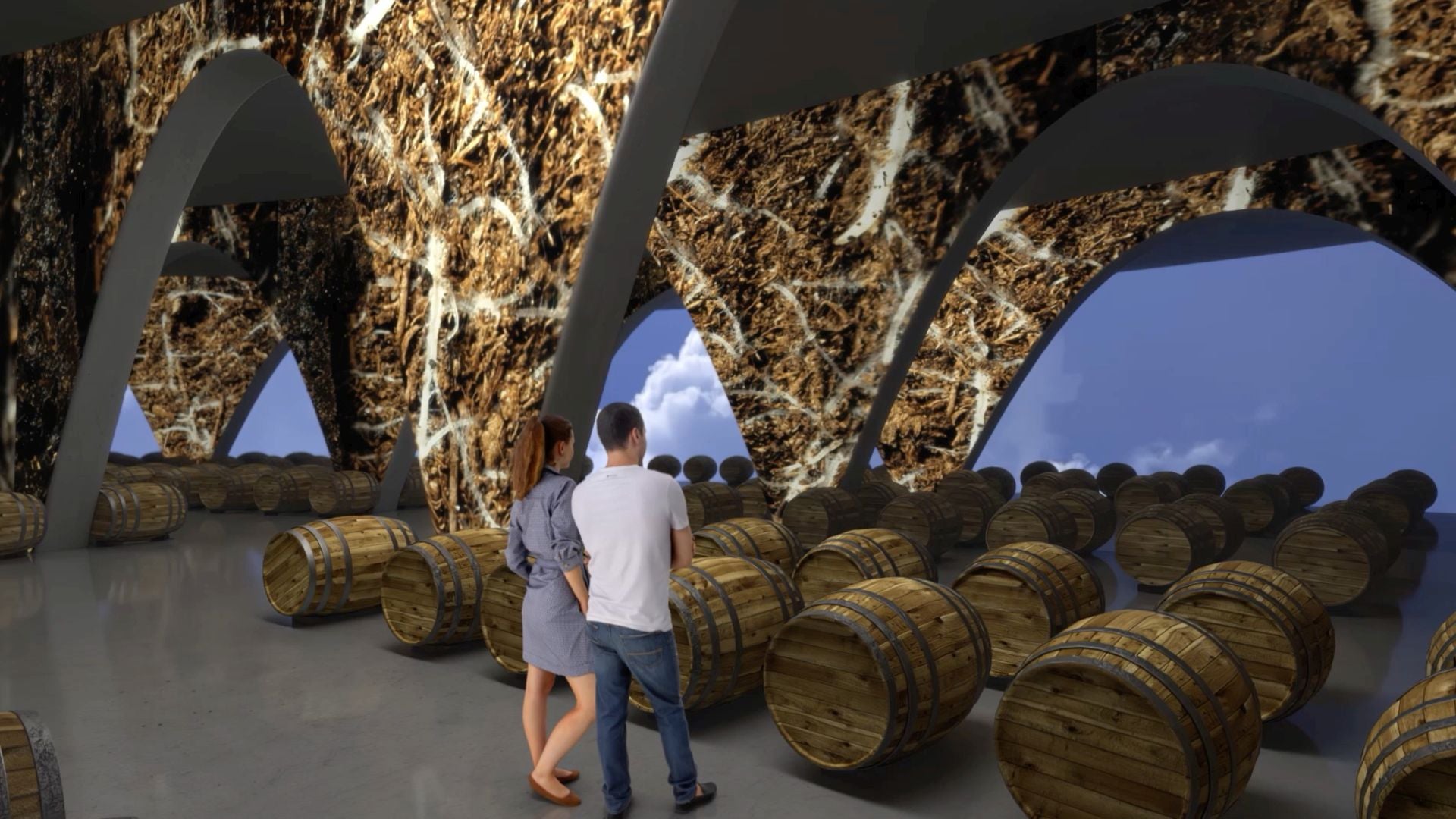 Muestra de barricas.